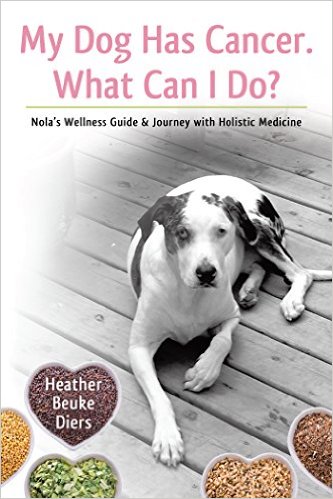 Dog Cancer Diet Blog Ticker