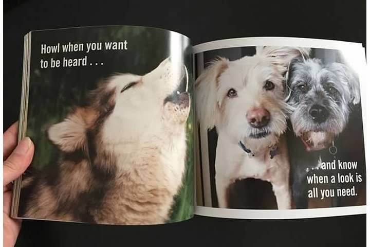 Lessons