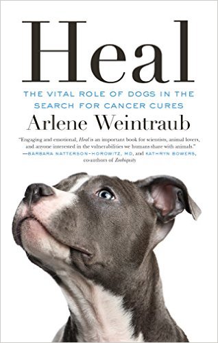 “Heal” is Best Holiday Book Gift for Pet Parents 51kj7P6d4HL._SX316_BO1,204,203,200_