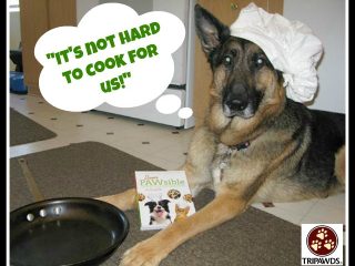 You’ll Love Dinner PAWsible’s Home Cooking for Pets Recipes home cooking for pets recipes