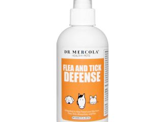 natural flea and tick protection