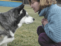 Laurie Kaplan with Bullet, the dog who started it all.