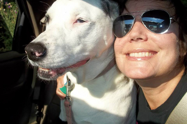 dog cancer diet tips