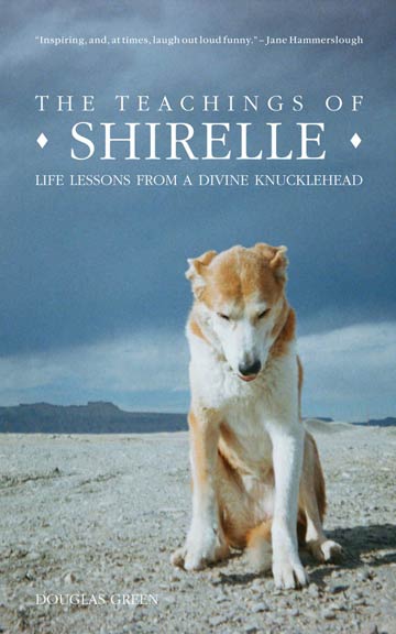 Teachings of Shirelle