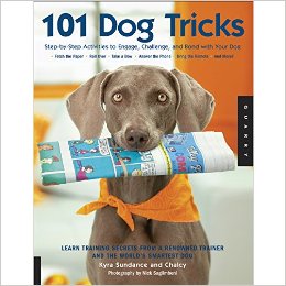 Tripawd dog trick training