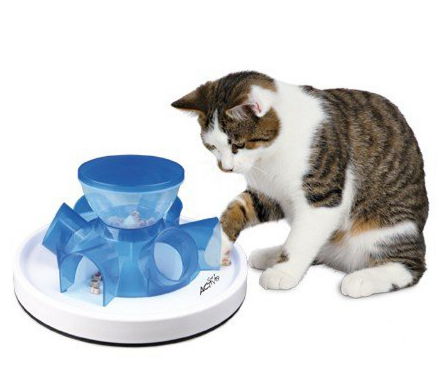 Food Puzzles for Cats Make Great Tripawd Therapy - Tripawds Amazon