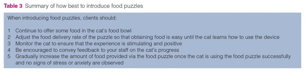 food puzzles for cats